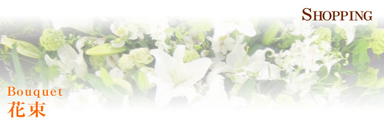 AWEԑEX^hԁEϗtAEӒ@És@| t[ Ԏ |