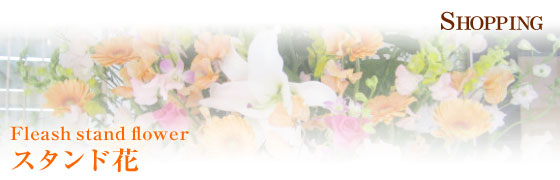 AWEԑEX^hԁEϗtAEӒ@És@| t[ Ԏ |