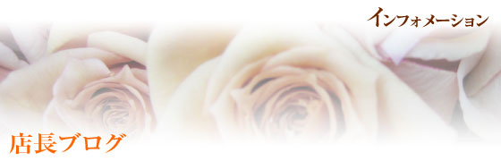 AWEԑEX^hԁEϗtAEӒ@És@| t[ Ԏ |