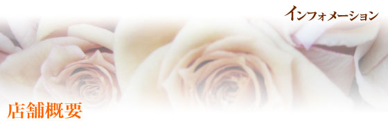 AWEԑEX^hԁEϗtAEӒ@És@| t[ Ԏ |