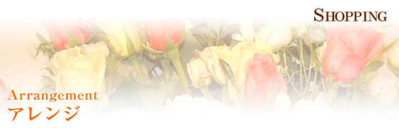 アレンジ・花束・スタンド花・観葉植物・胡蝶蘭　名古屋市中区　| フラワー 花時 |